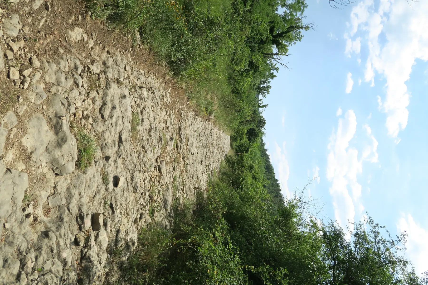 Steiniger Weg